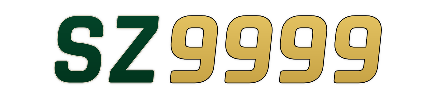 sz9999 Logo